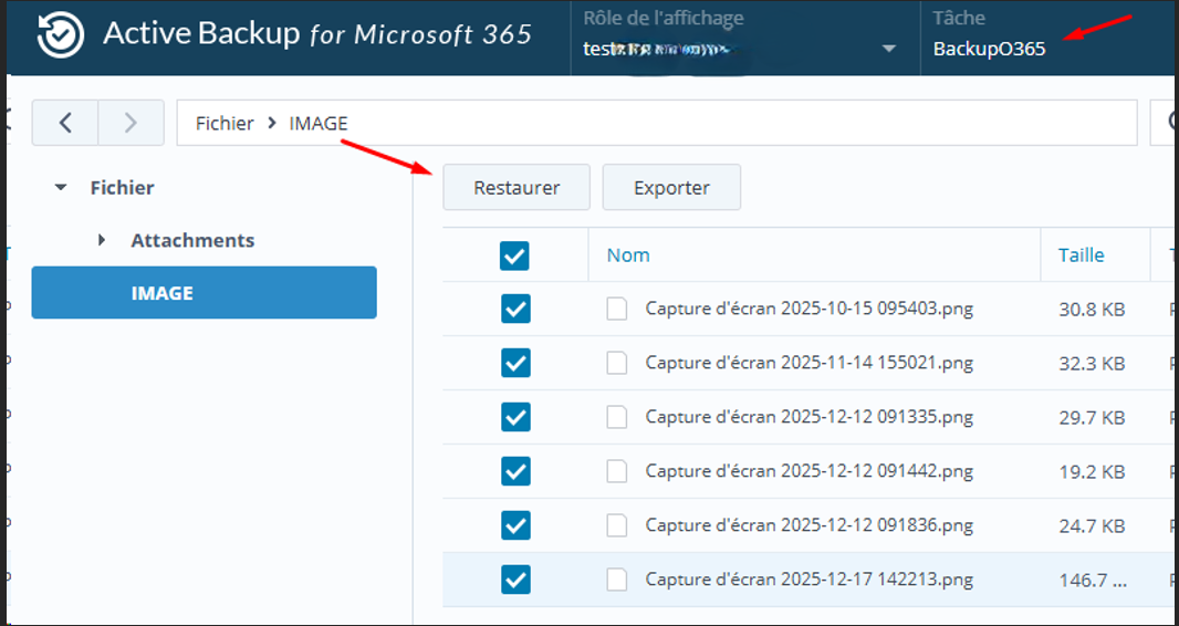 Active Backup Portal — sélection utilisateur et navigation