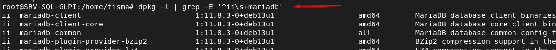 dpkg -l | grep mariadb listant les paquets installés