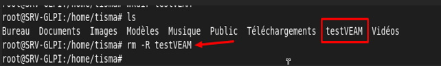 Terminal Linux — rm -R testVEAM