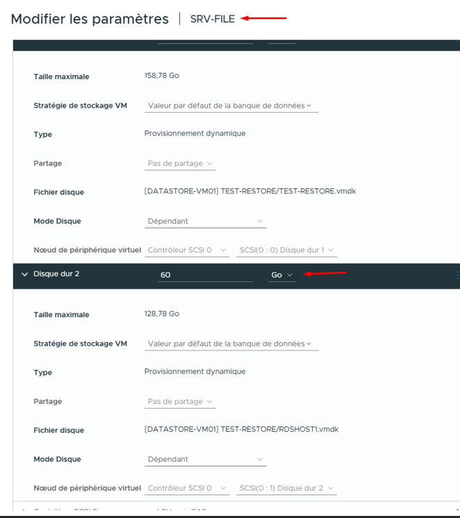 vSphere — SRV-FILE avec Disque dur 2 RDSHOST1.vmdk (60 Go)